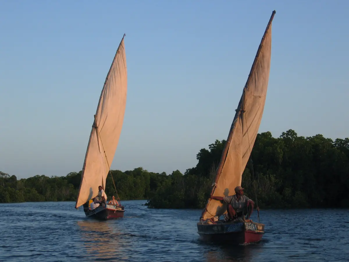 Dhaus an den Mangroven am Abend