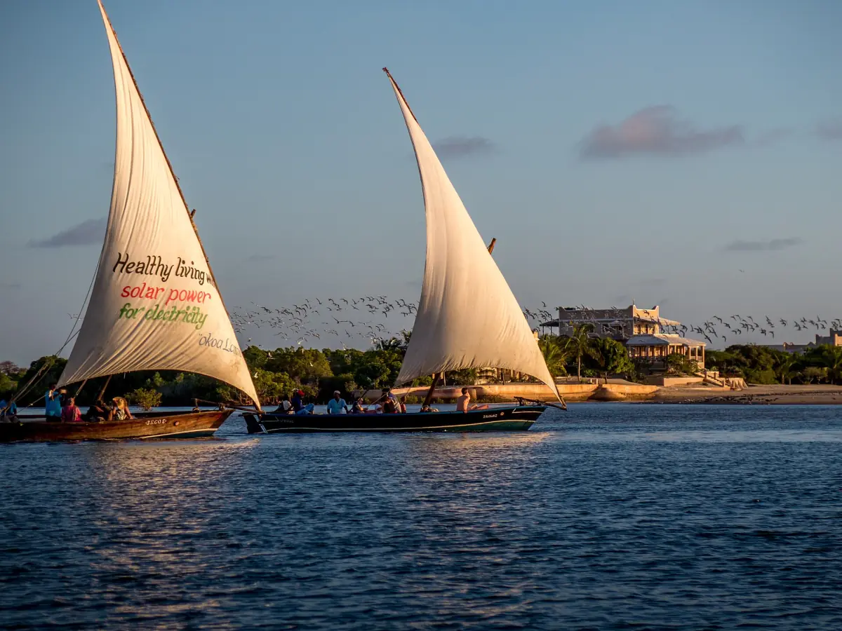Dhaus segeln vor der Stadt Lamu