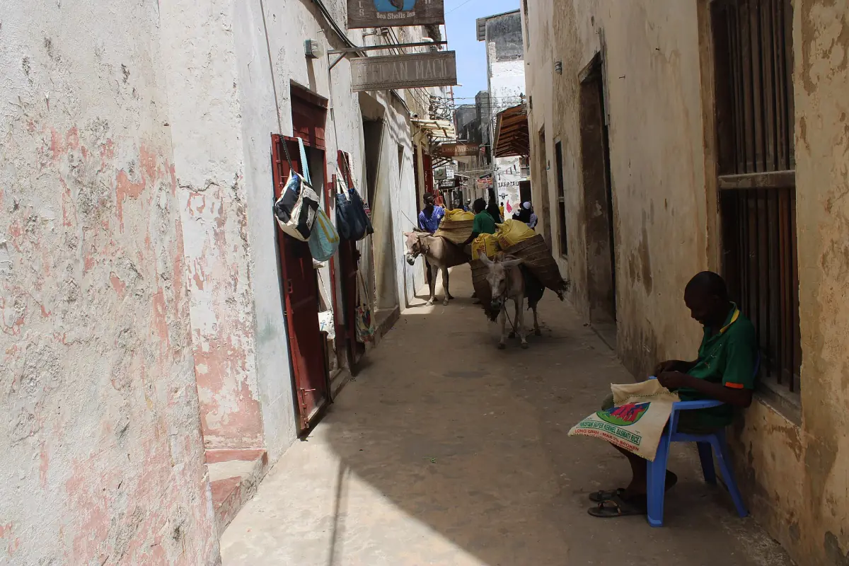 Eine schmale Gasse mit Esel in der Altstadt von Lamu