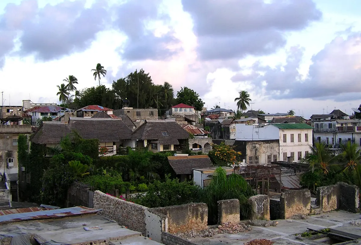 Dächer und Palmen in der Stadt Lamu