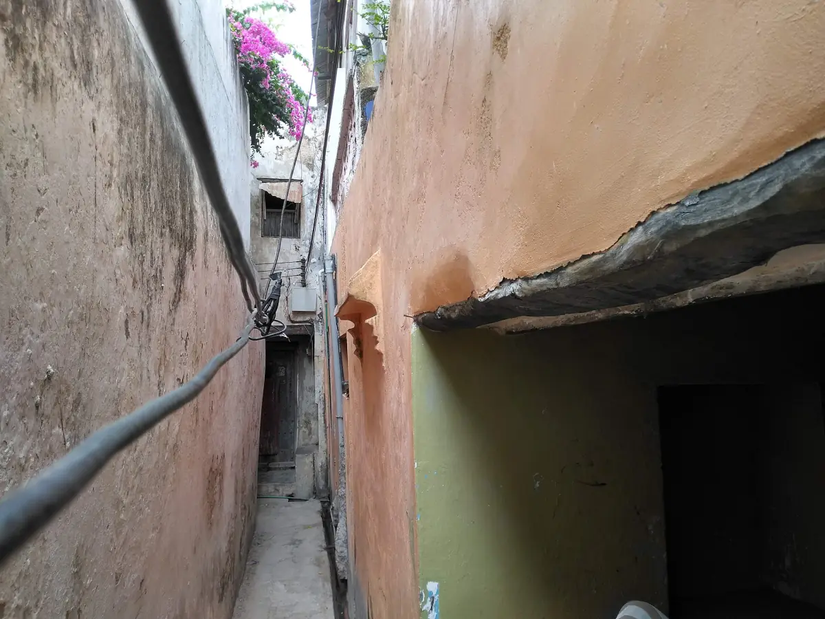 A very narrow lane in Lamu